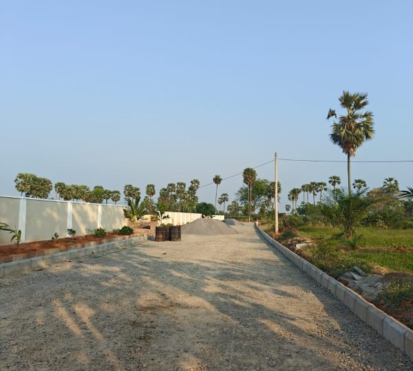 Hanuman Junction